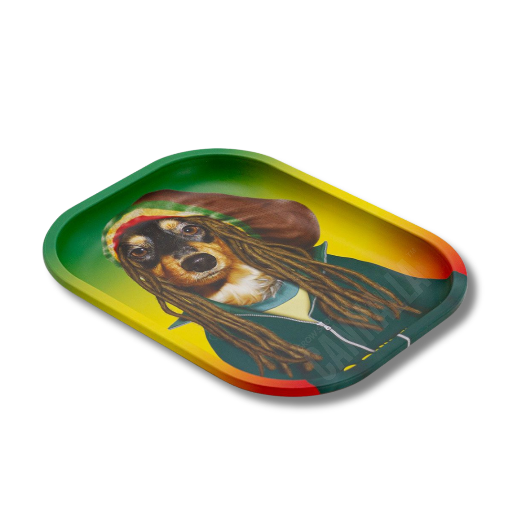 G·ROLLZ BANDEJA PETS ROCK "REGGAE"