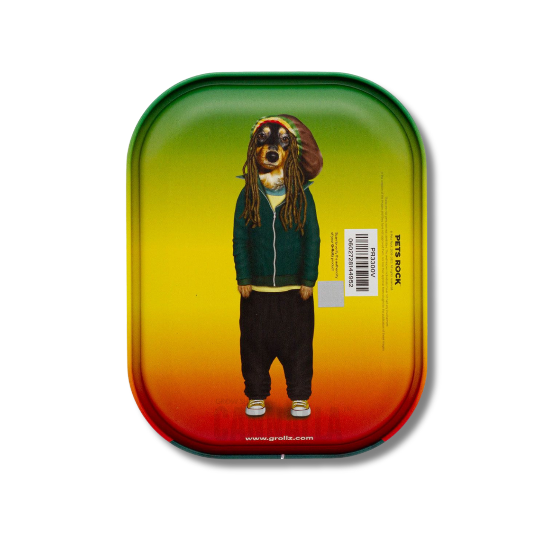 G·ROLLZ BANDEJA PETS ROCK "REGGAE"