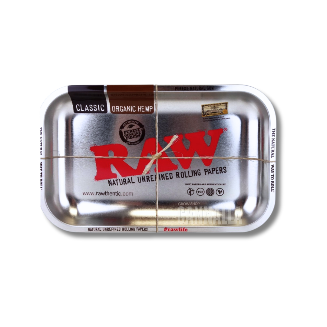 RAW BANDEJA PEQUEÑA "SILVER"