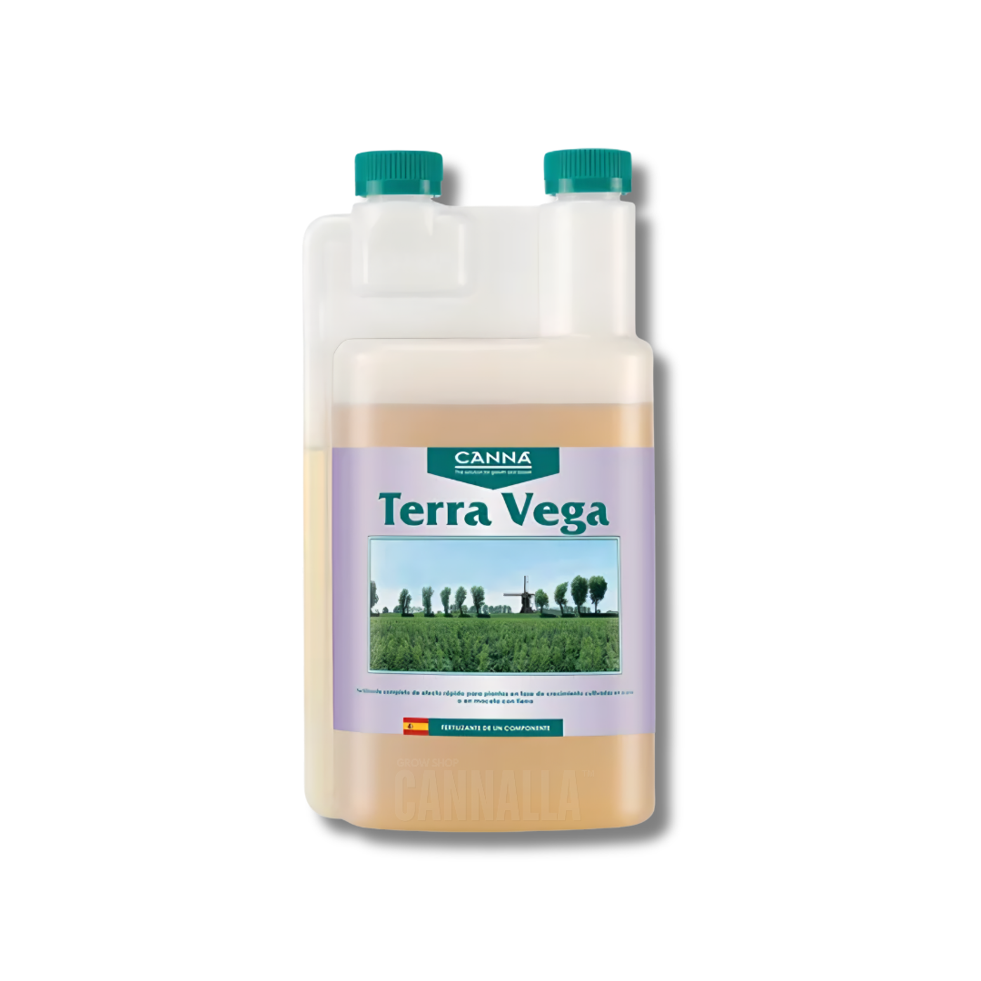TERRA VEGA