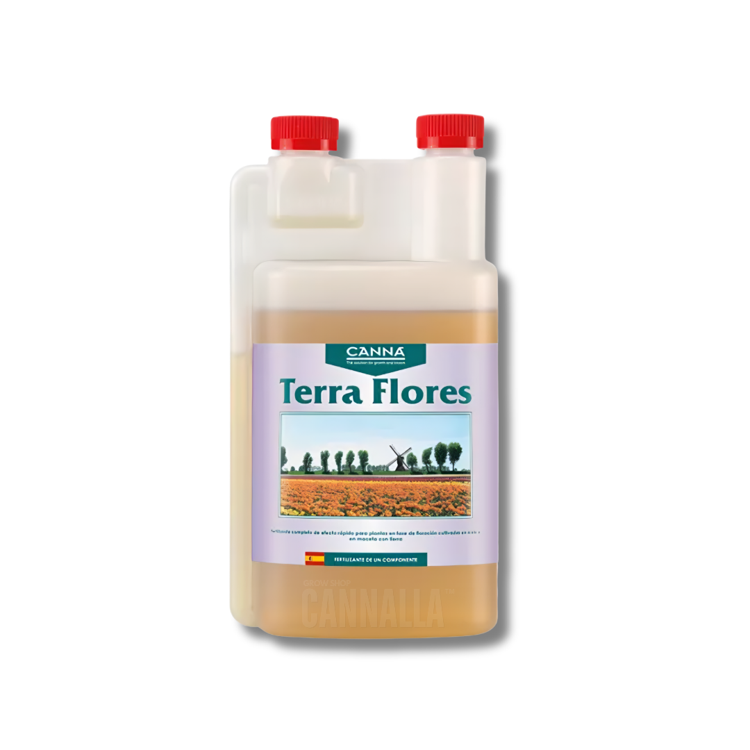 TERRA FLORES