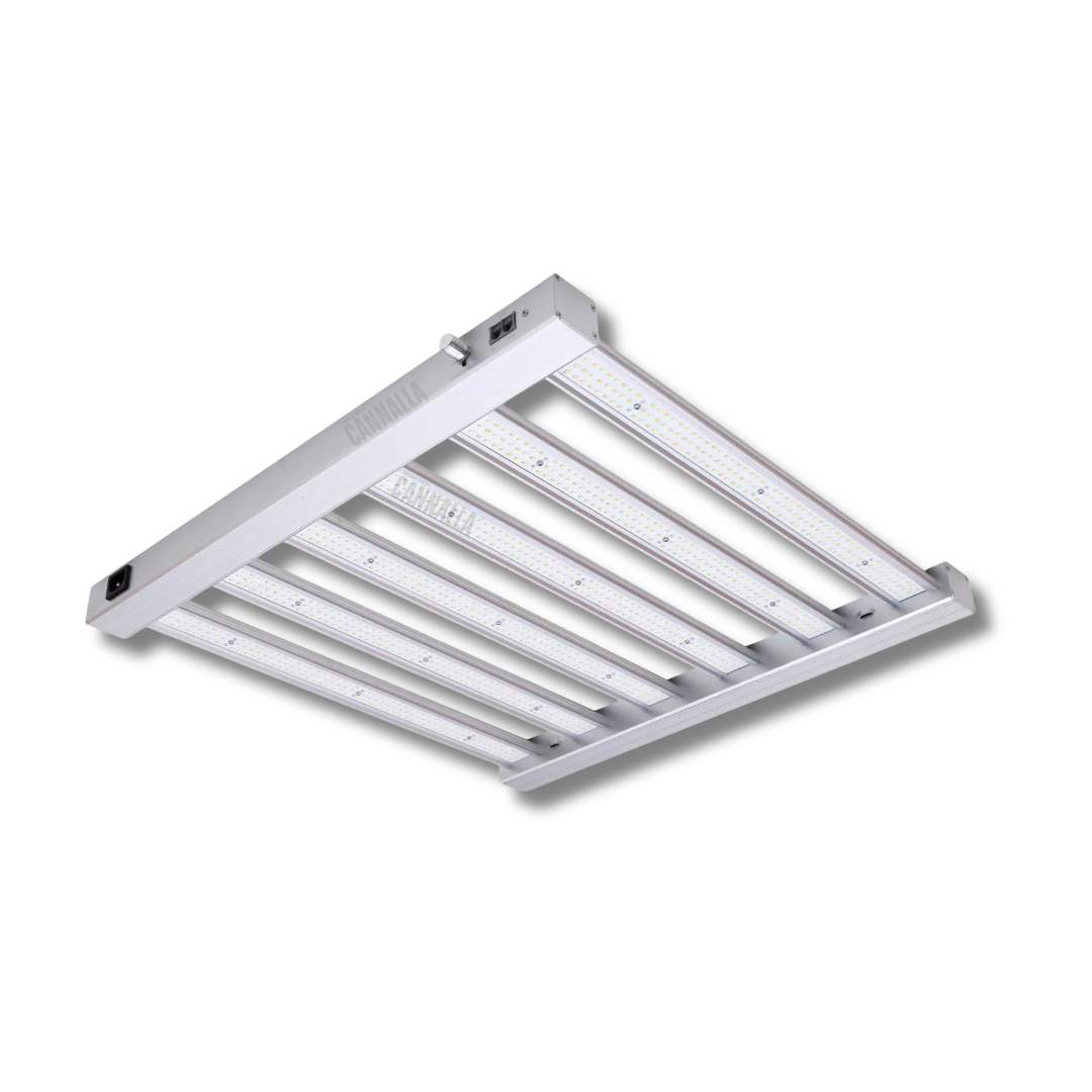 SISTEMA LED SPIDER KING 360W