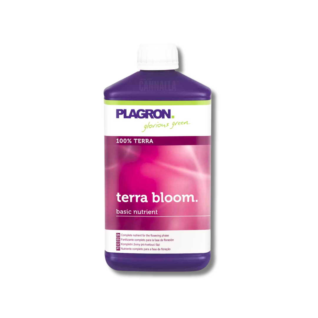 TERRA BLOOM