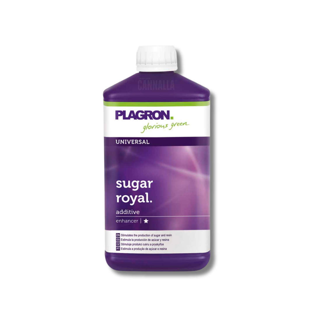 SUGAR ROYAL