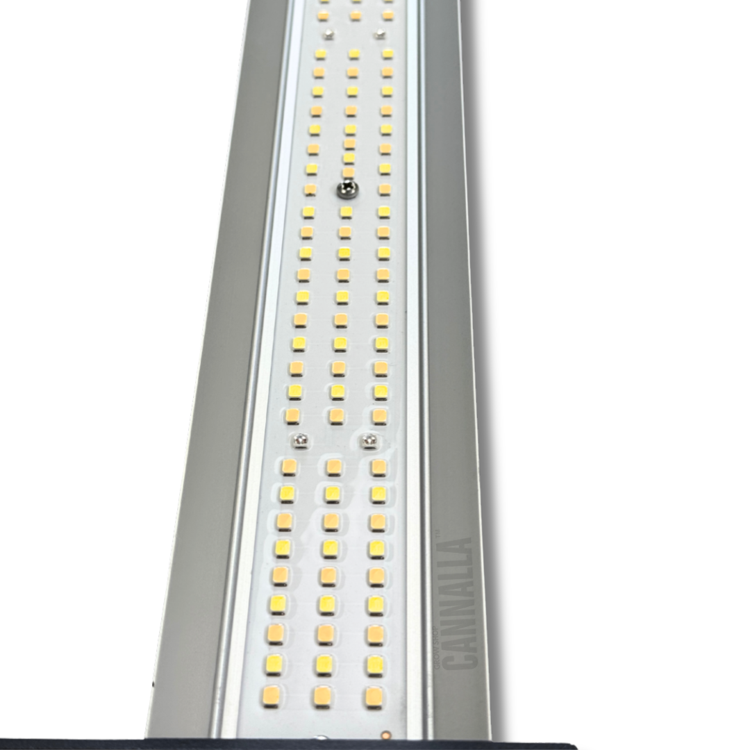 SISTEMA LED SOLUX ORBITA 750 W