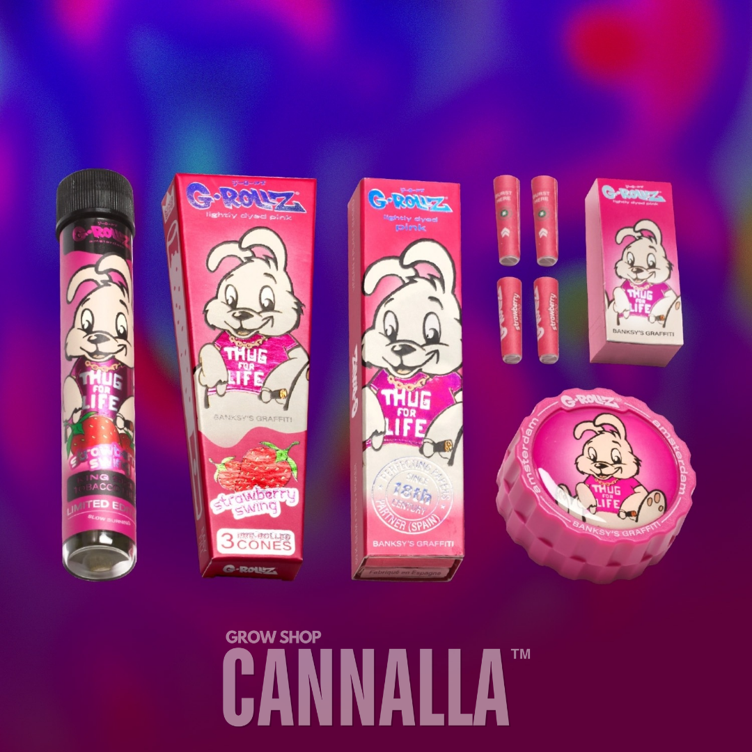 G·ROLLZ PACK REGALO BANKSY'S GRAFFITI "THUG FOR LIFE"