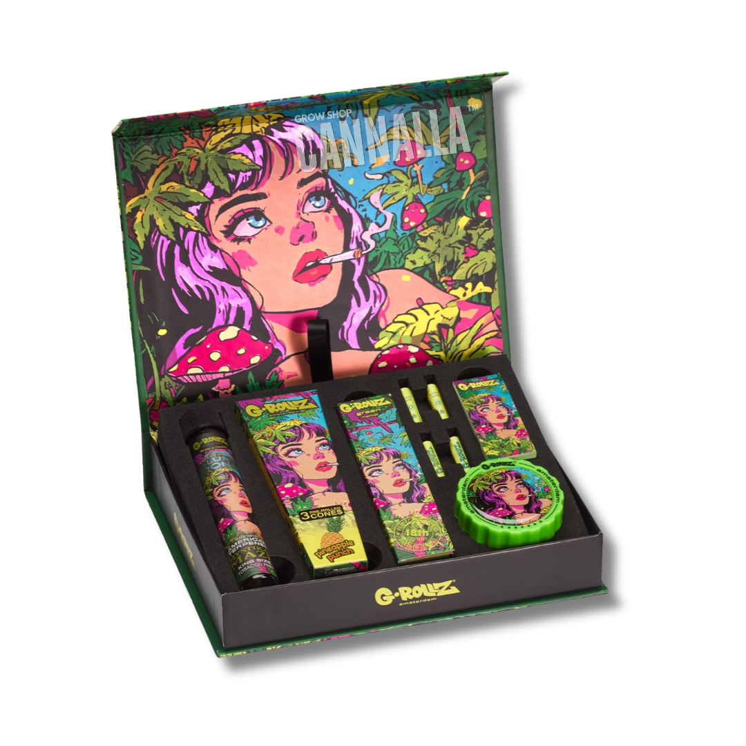G·ROLLZ PACK REGALO "MYSTIKAL MAZE"