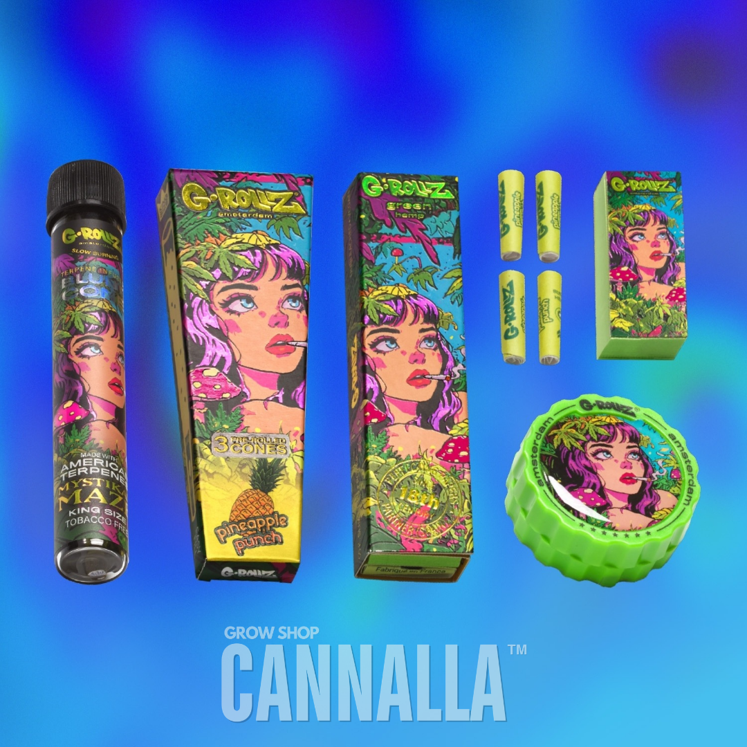 G·ROLLZ PACK REGALO "MYSTIKAL MAZE"