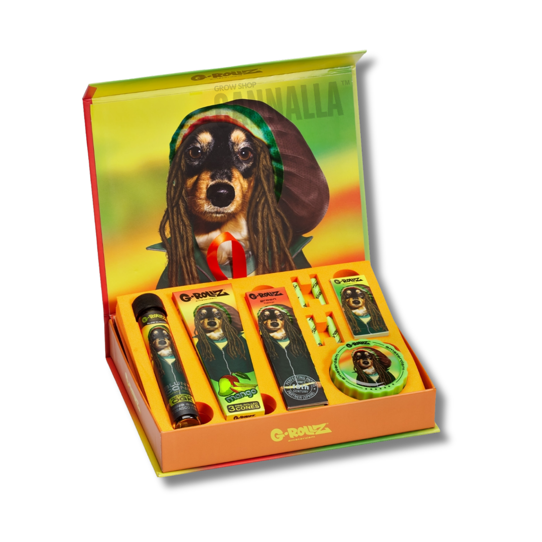 G·ROLLZ PACK REGALO "REGGAE"