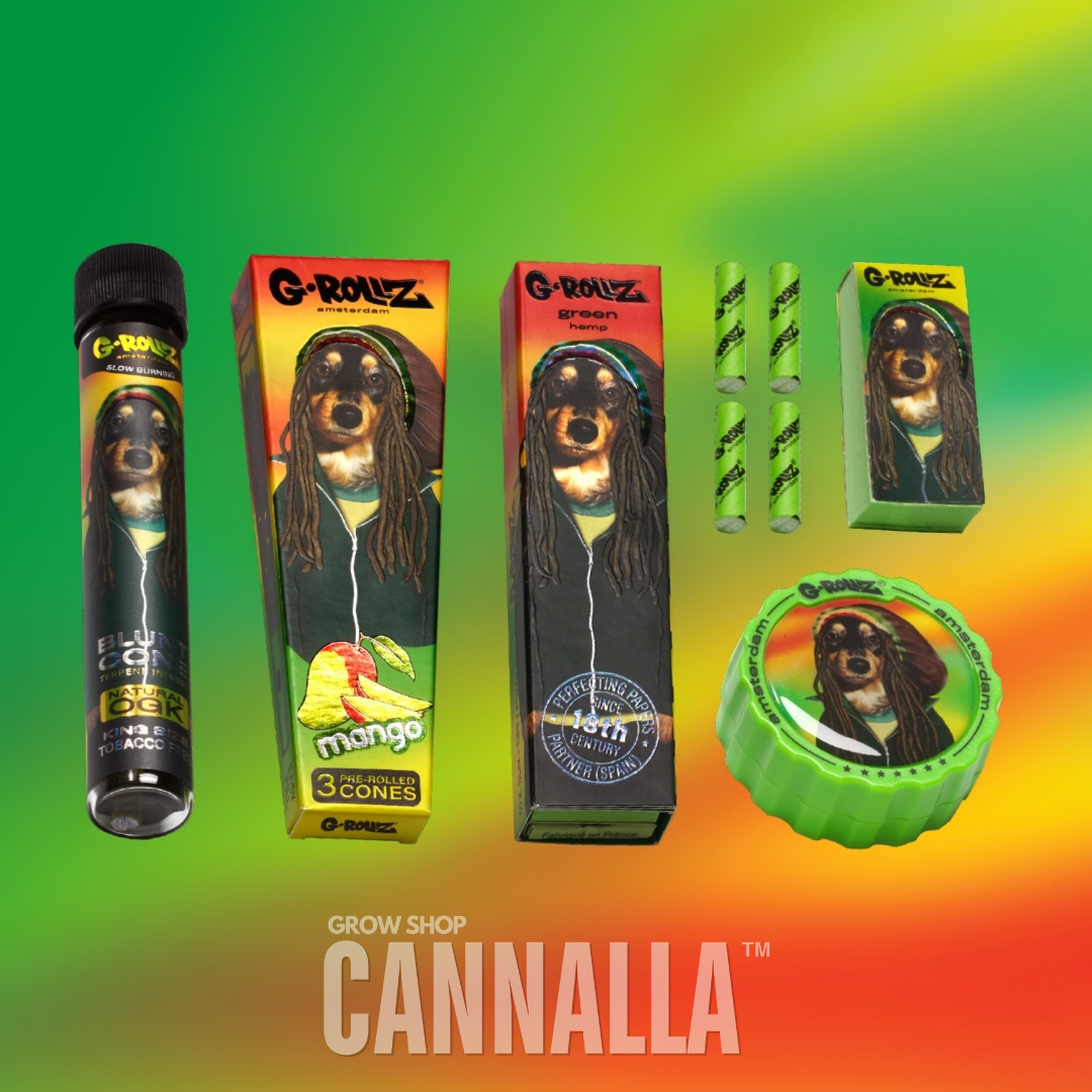 G·ROLLZ PACK REGALO "REGGAE"