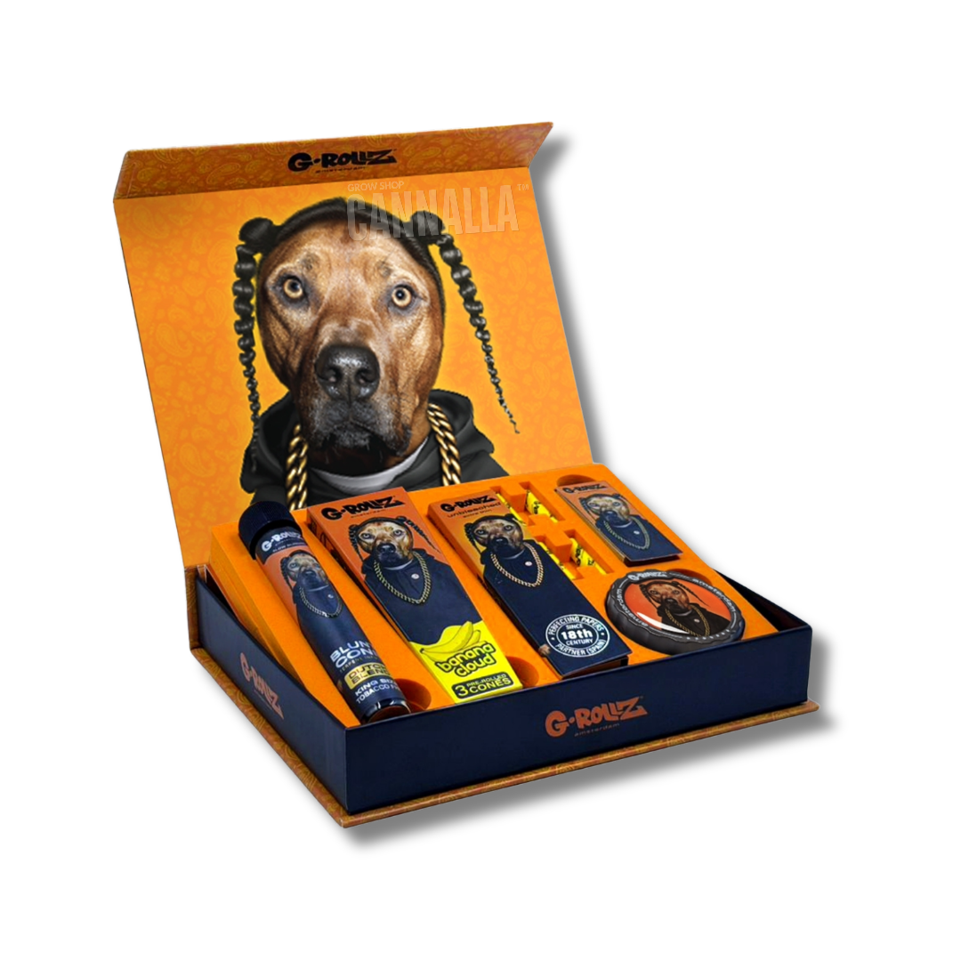 G·ROLLZ PACK REGALO "RAP"
