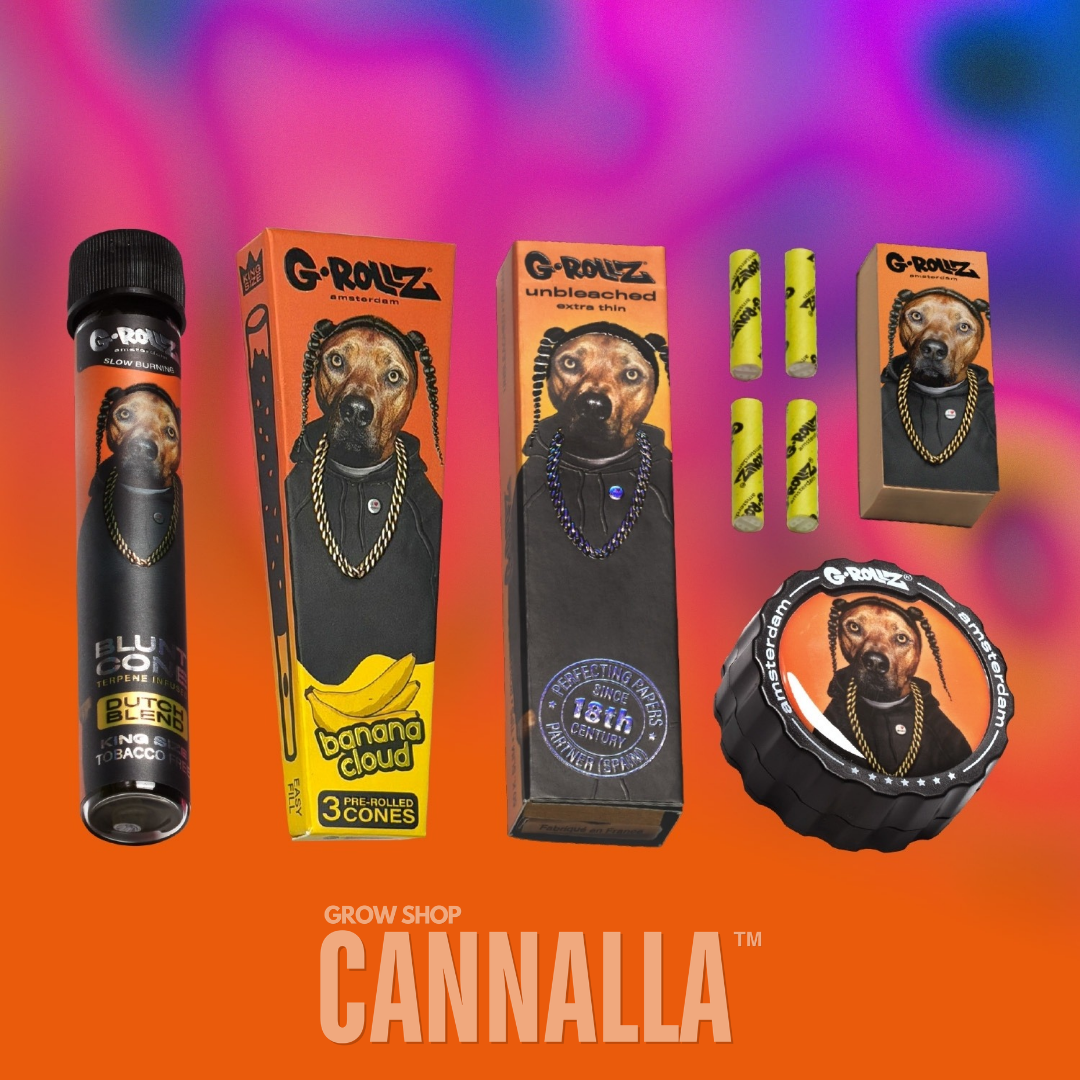 G·ROLLZ PACK REGALO "RAP"