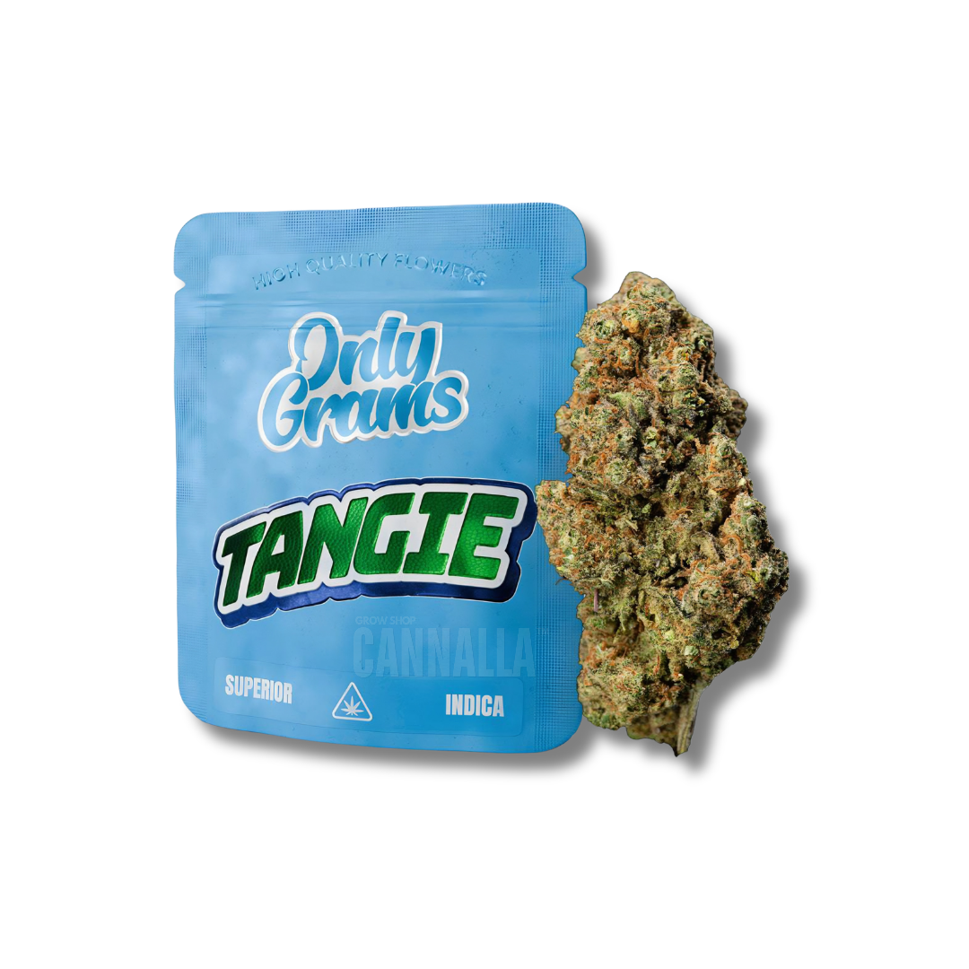 ONLYGRAMS FLORES CBD SUPERIOR "TANGIE"