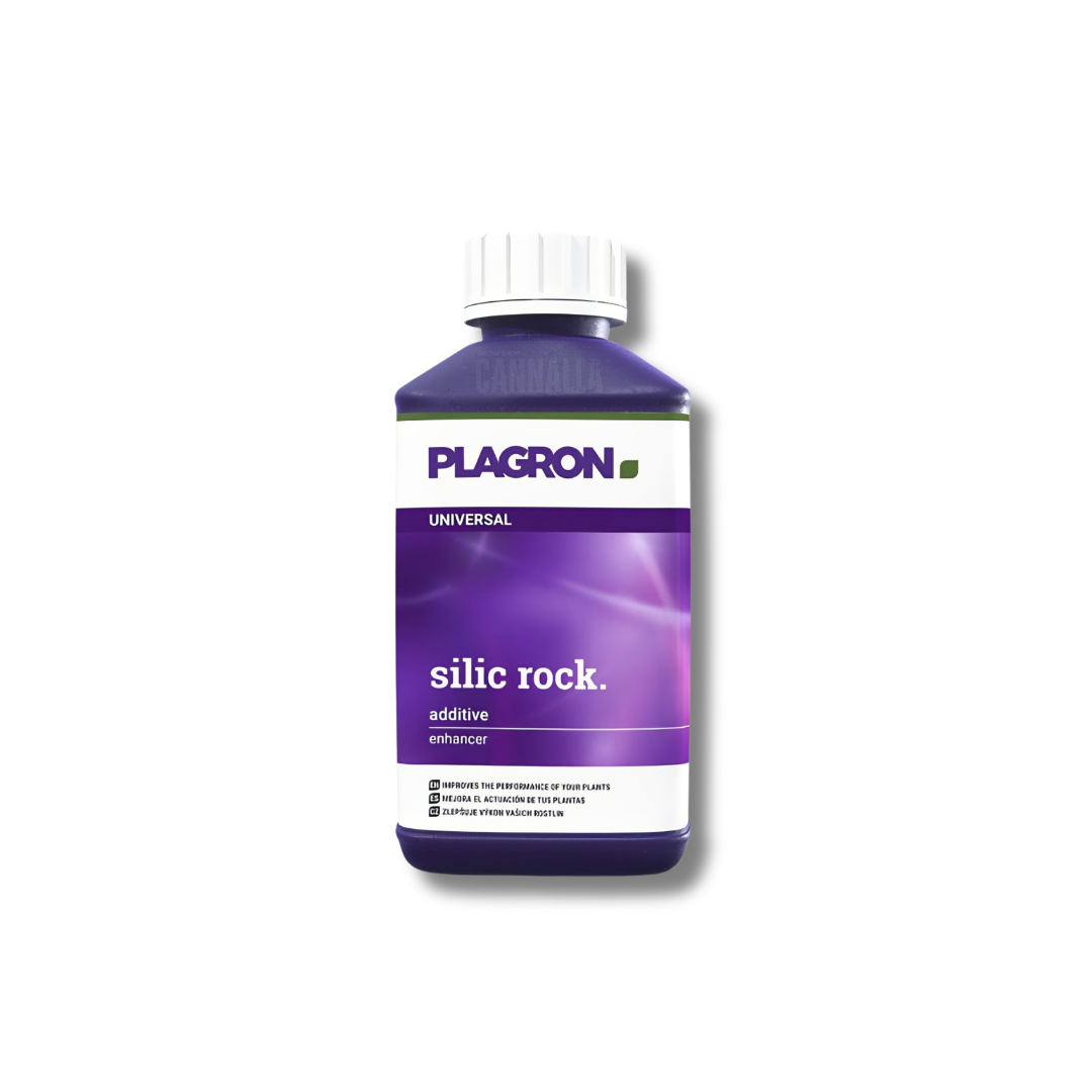 SILIC ROCK