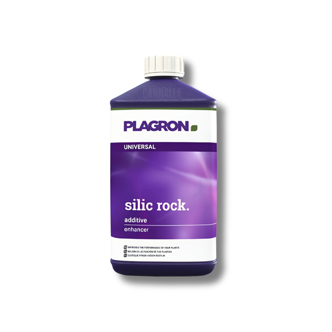 SILIC ROCK