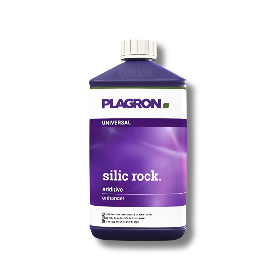 SILIC ROCK
