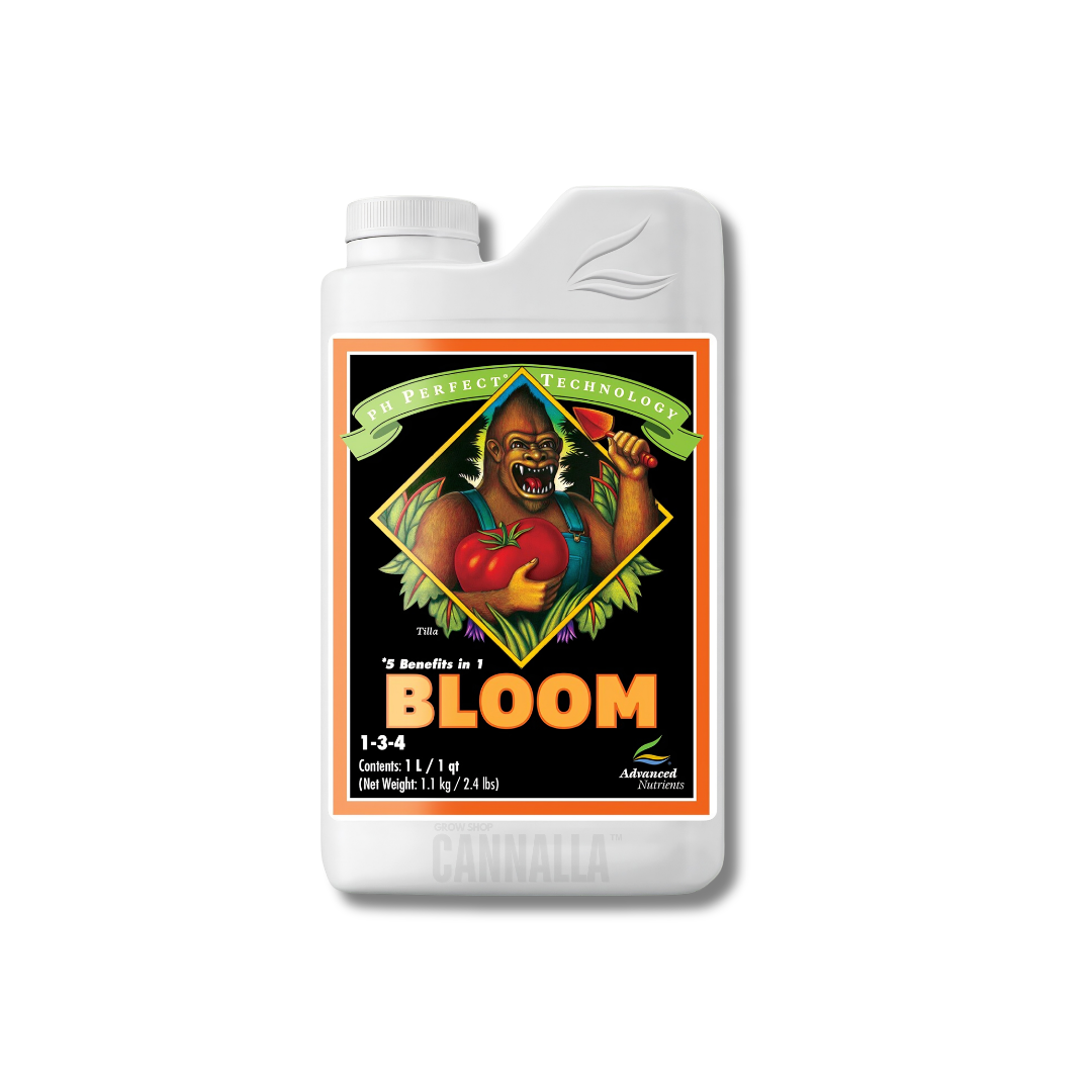BLOOM PH PERFECT