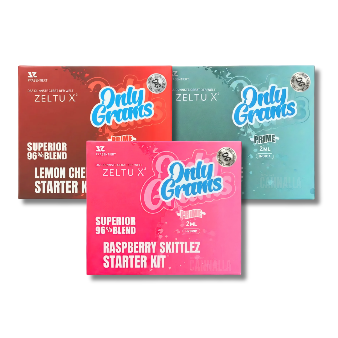 ONLYGRAMS KIT INICIO VAPE ZELTU X³ + H2 SUPERIOR POD