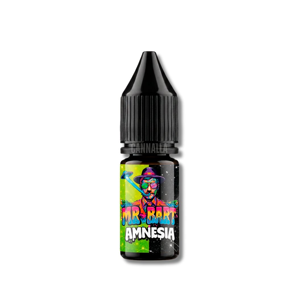 MR BART E-LIQUID H80