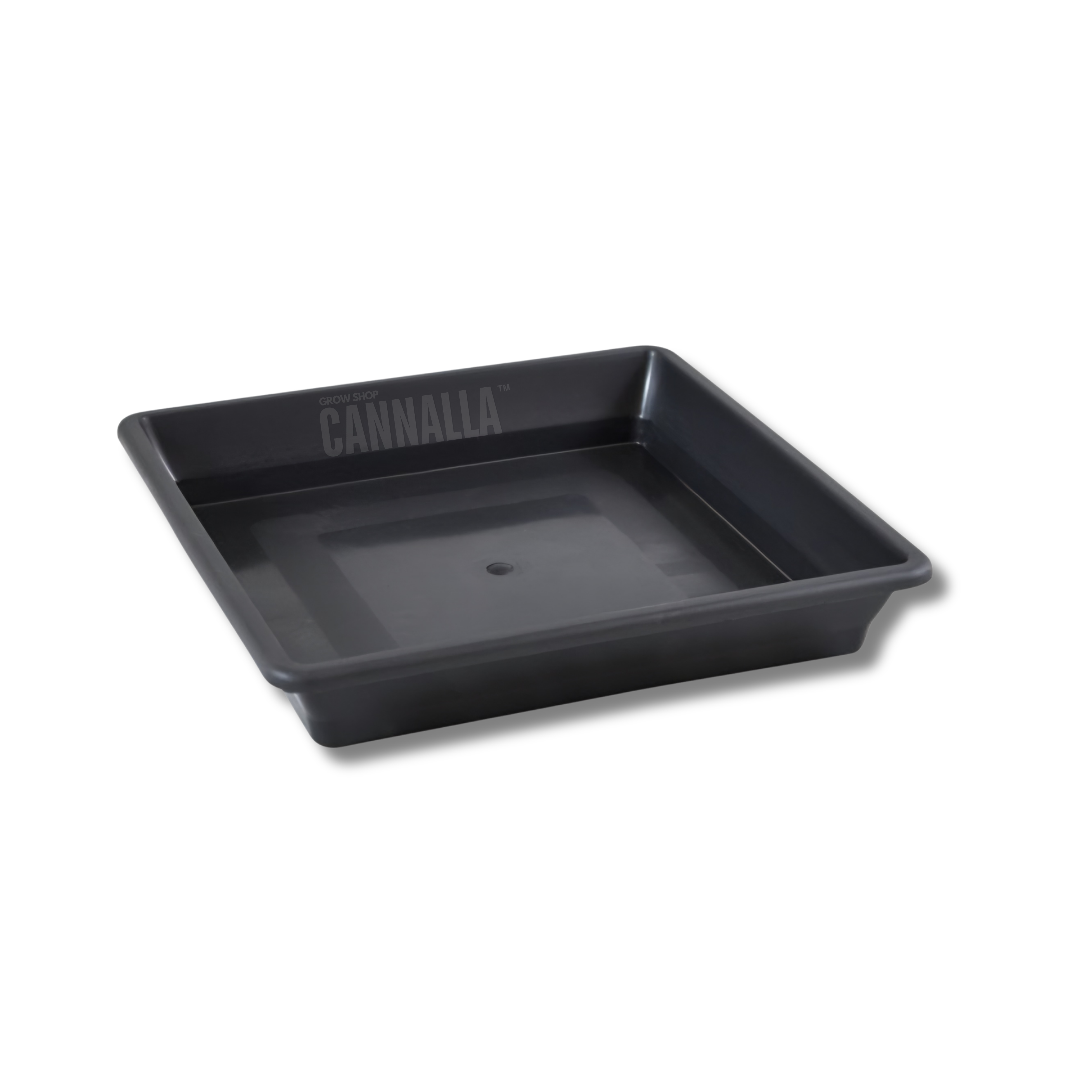PLATO CUADRADO MACETA 14 CM