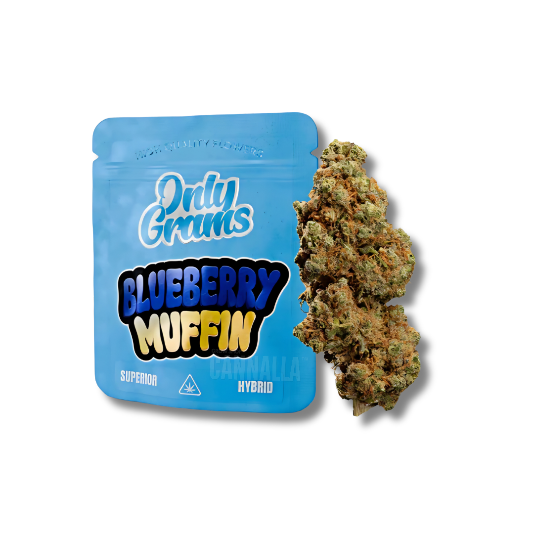ONLYGRAMS FLORES SUPERIOR "BLUEBERRY MUFFIN"
