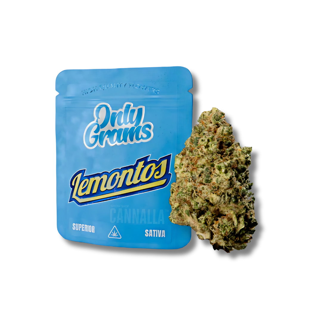ONLYGRAMS FLORES SUPERIOR "LEMONTOS"