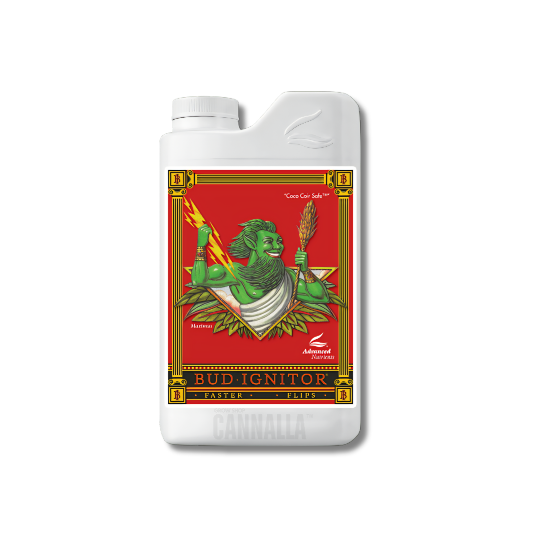 BUD IGNITOR