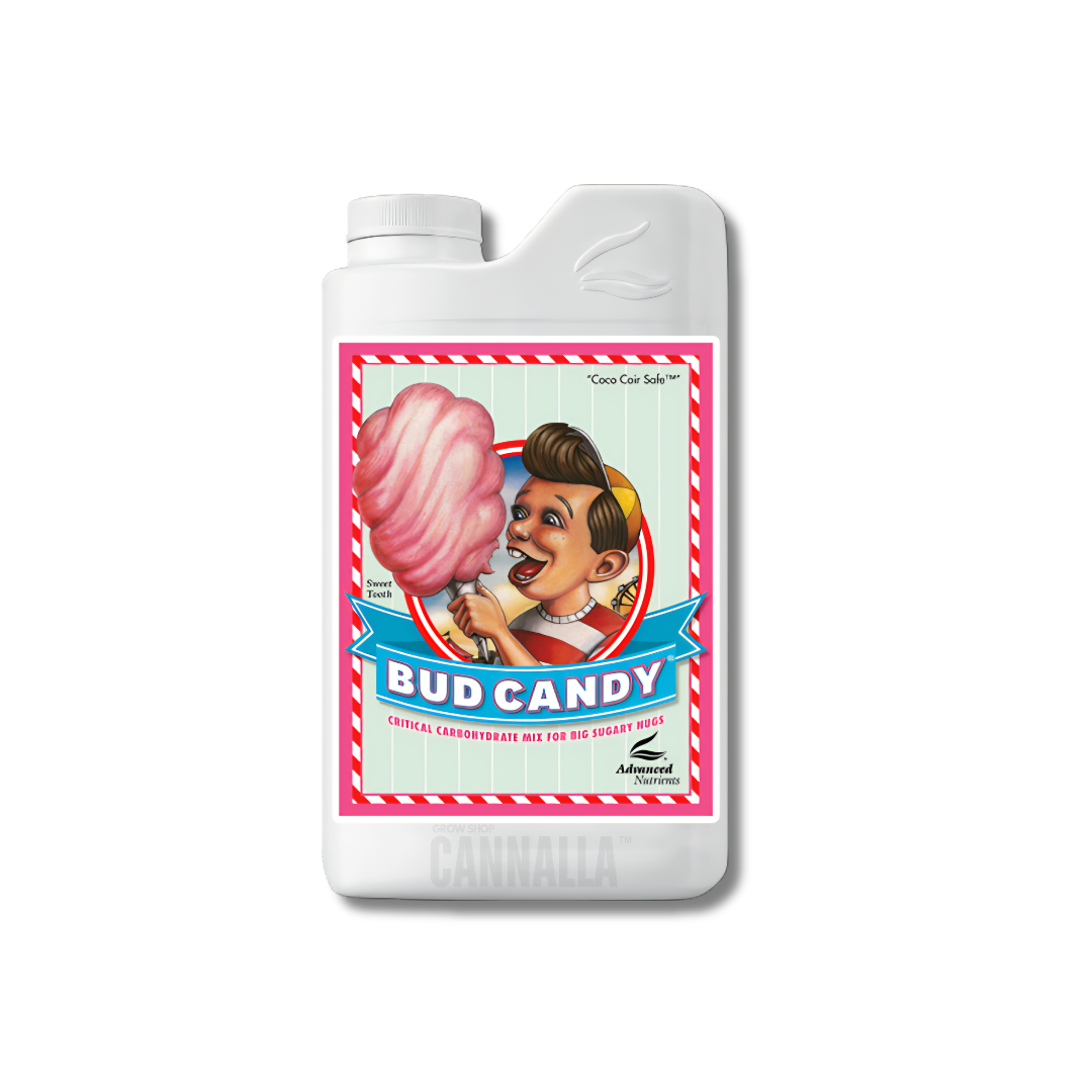 BUD CANDY