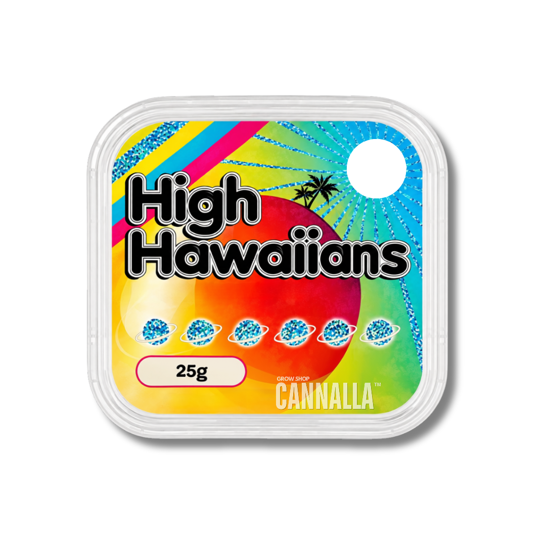 ESLEROCIOS FRESCOS "HIGH HAWAIIANS"