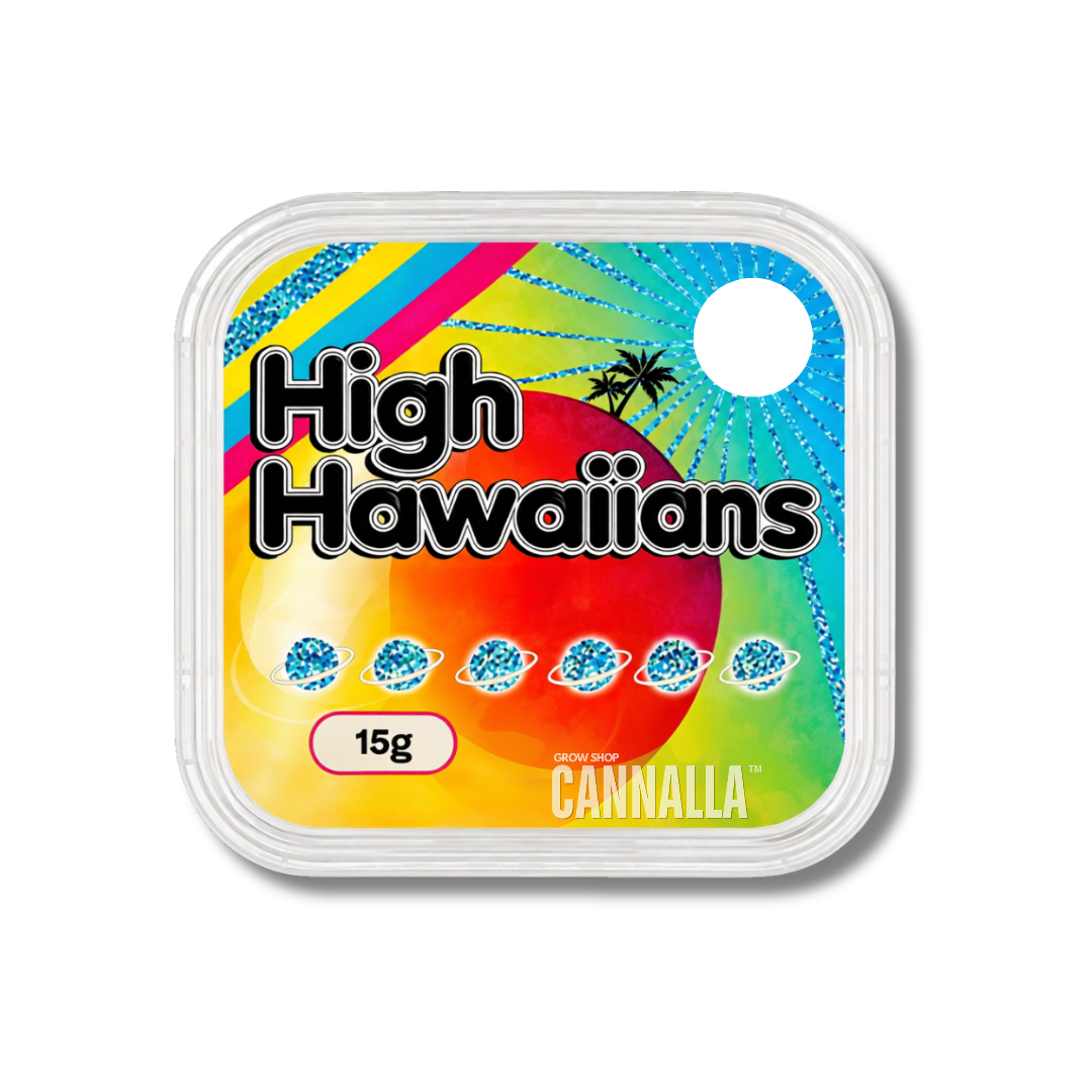 ESLEROCIOS FRESCOS "HIGH HAWAIIANS"