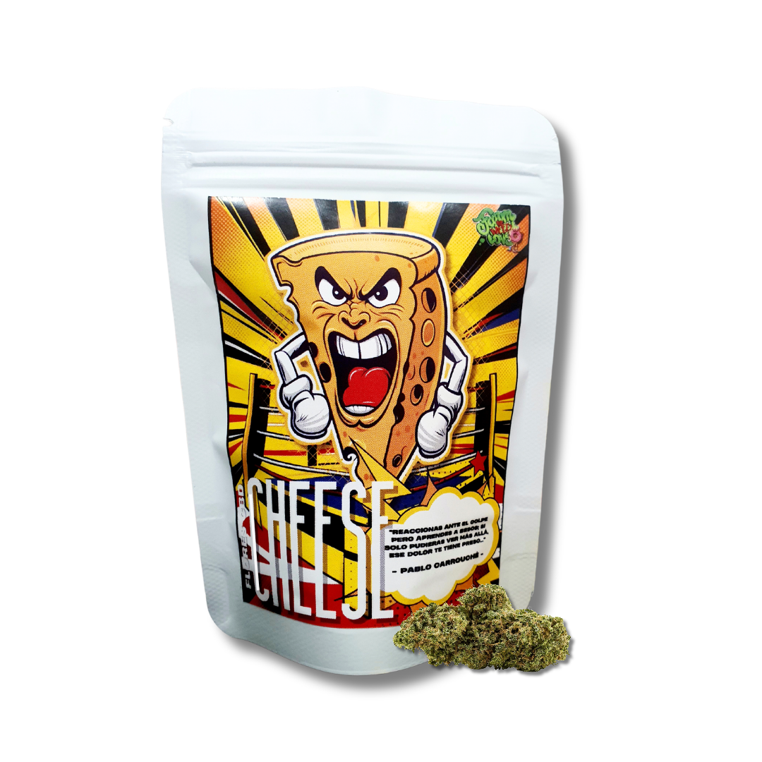 CHEESE HAZE CBD
