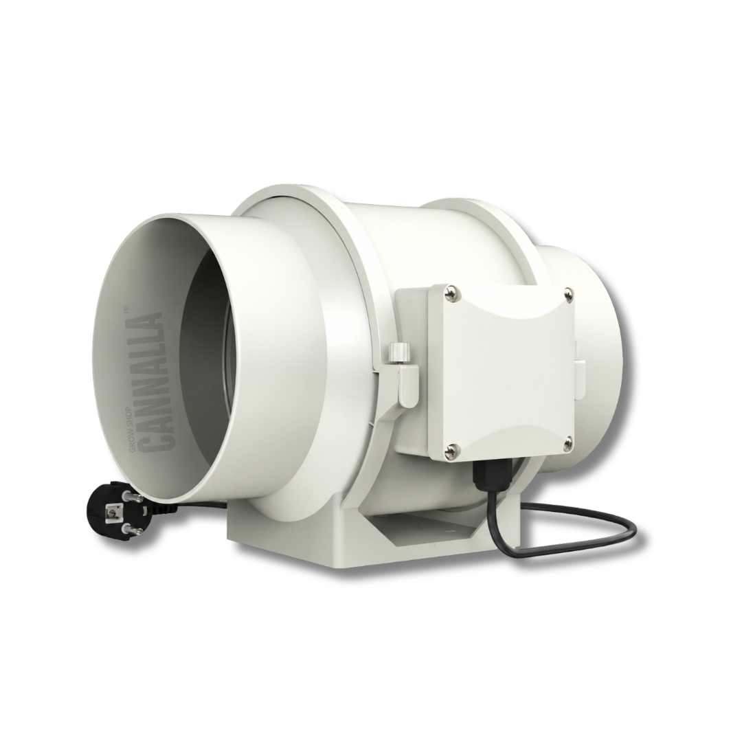 EXTRACTOR TT 2 VELOCIDADES VANGUARD