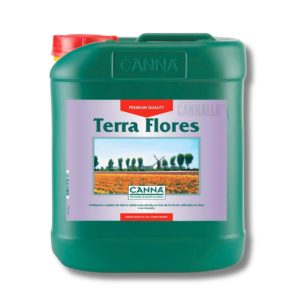 TERRA FLORES