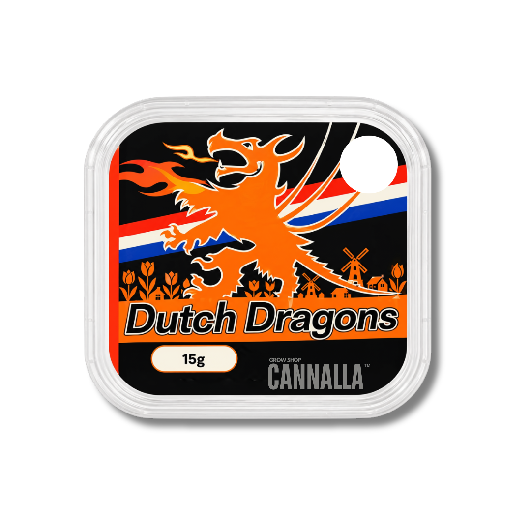 ESCLEROCIOS FRESCOS "DUTCH DRAGONS"