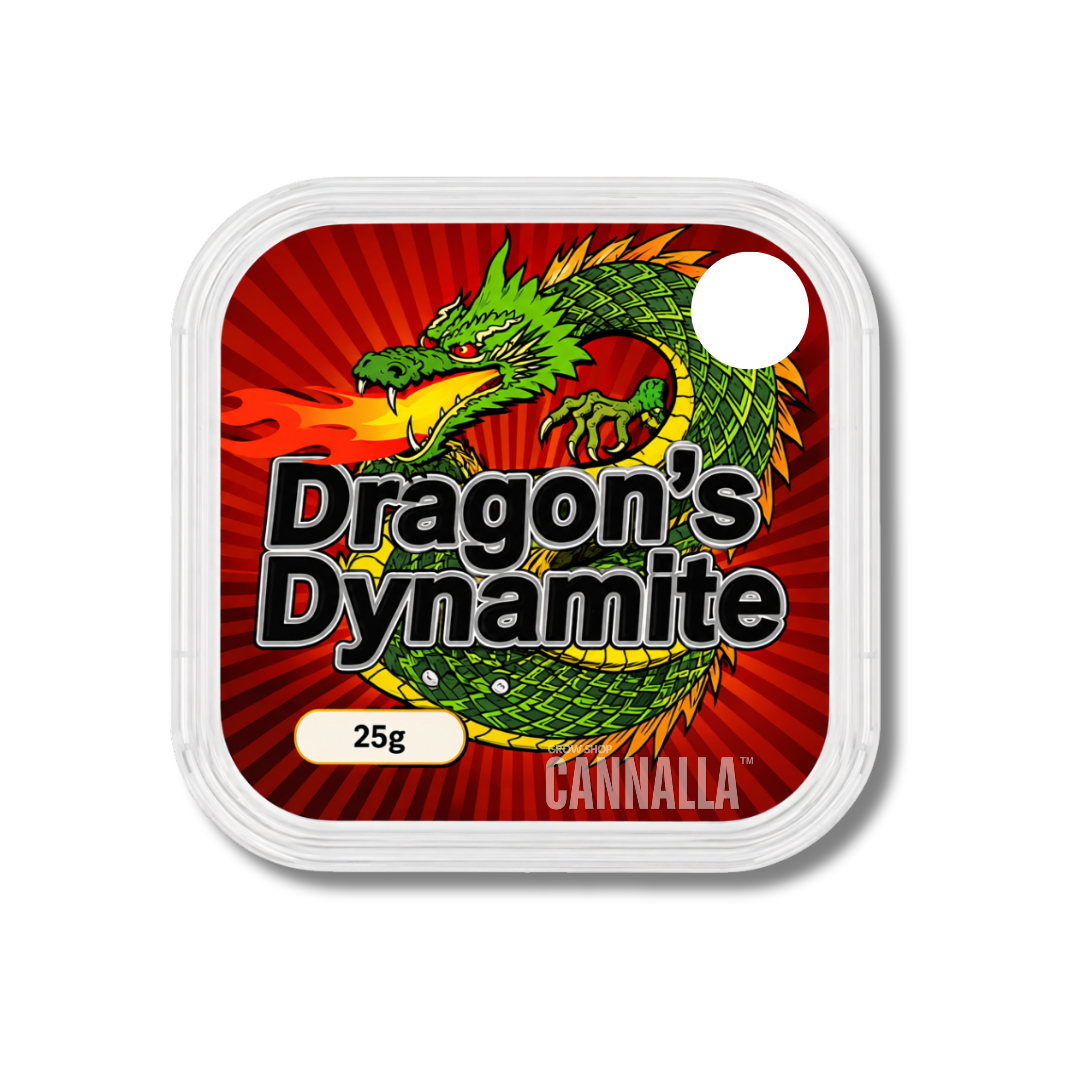 ESCLEROCIOS FRESCOS "DRAGON'S DYNAMITE"